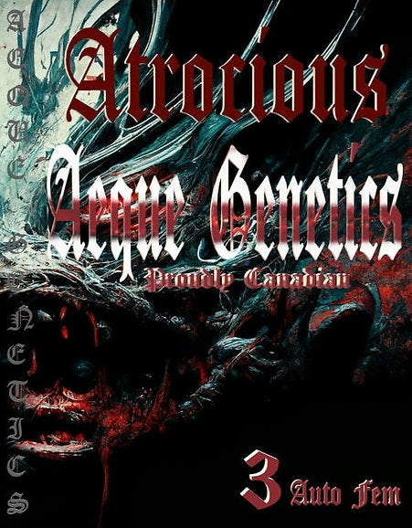 ATROCIOUS 3pc sticker pack auto