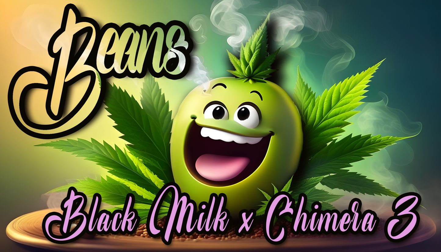 BEANS F2 13pc sticker pack (f)