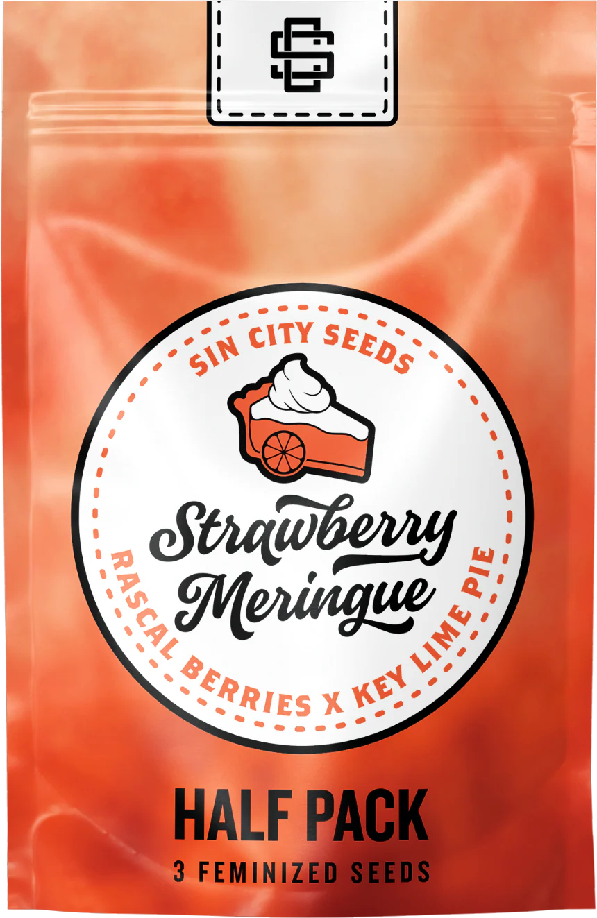STRAWBERRY MERINGUE 3pc sticker pack (f)