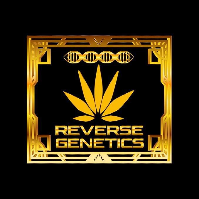 ICY CHERRY 4+1 STICKER PACK (f)