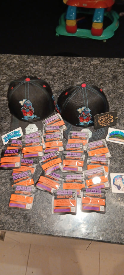 ANIMAL BURGER 10pc sticker pack reg