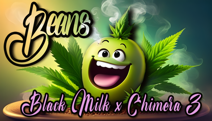 BEANS F2 13pc sticker pack (f)