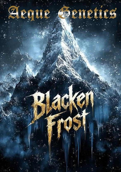 BLACKEN FROST F3