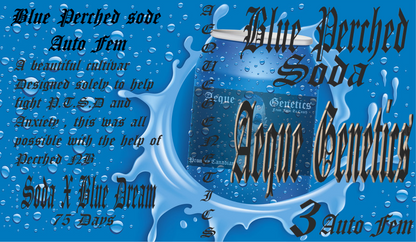 BLUE PERCHED SODA 3pc sticker pack auto