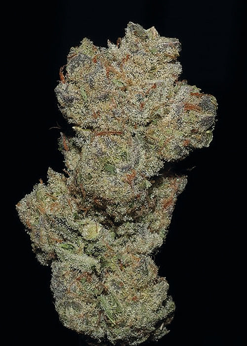 BRUCE BANNER #3 5PC sticker pack fem