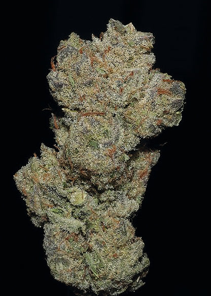 BRUCE BANNER #3 5PC sticker pack fem