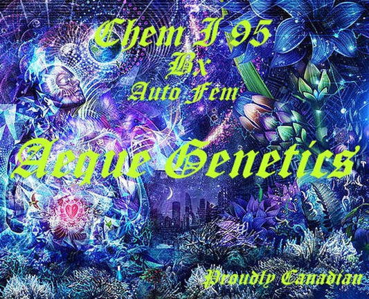 CHEM I 95 BX 3pc sticker pack auto
