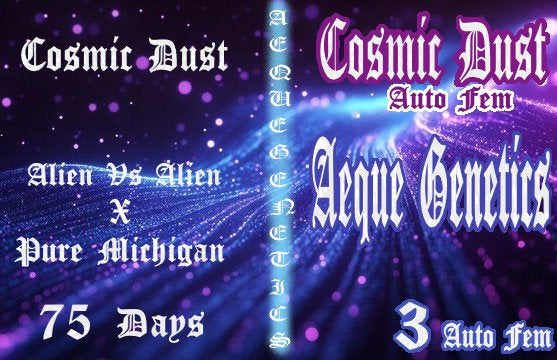 COSMIC DUST 3pc sticker pack auto