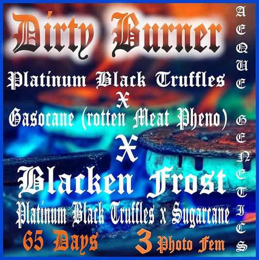 DIRTY BURNER
