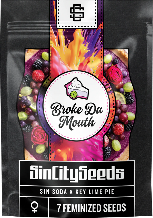 BROKE DA MOUTH 3pc sticker pack (f)