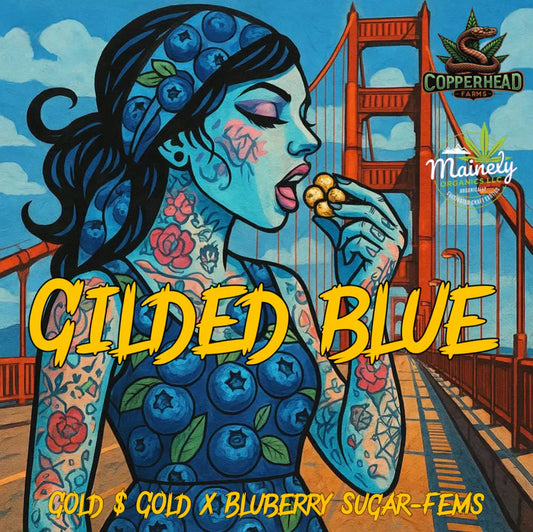 GILDED BLUE 10pc sticker pack fem