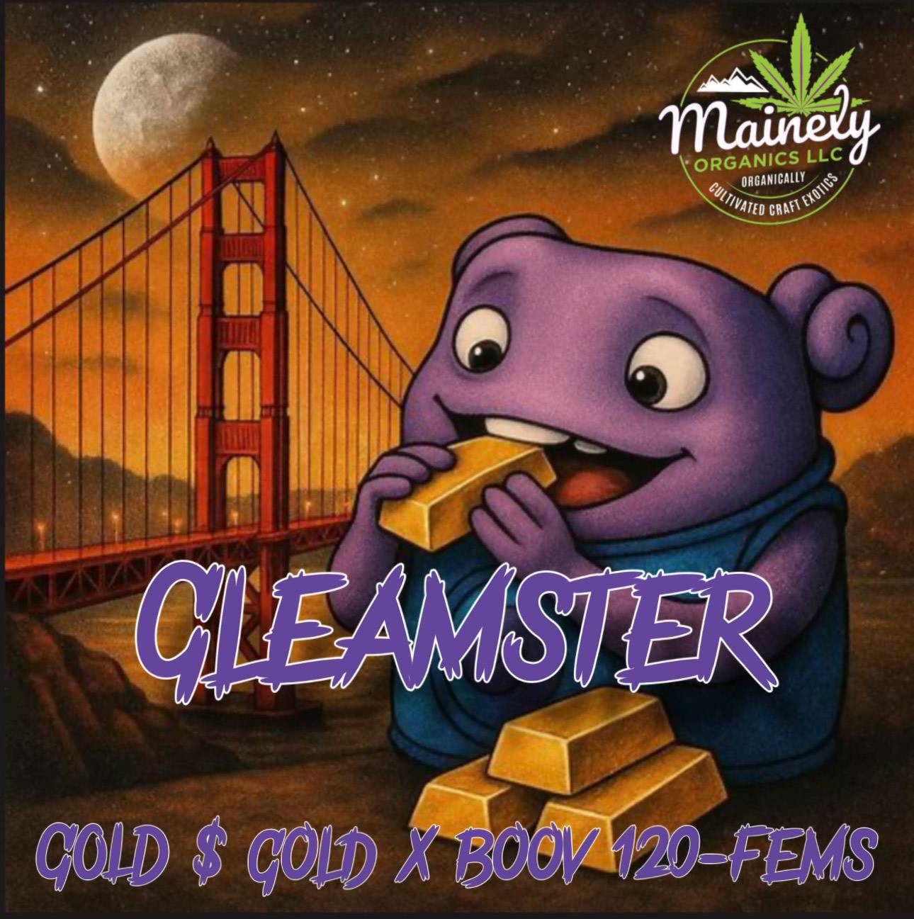 GLEAMSTER 10pc sticker pack fem