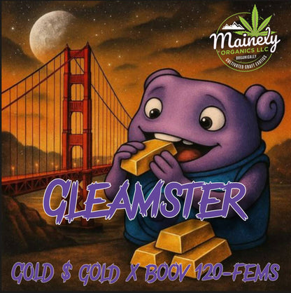 GLEAMSTER 10pc sticker pack fem
