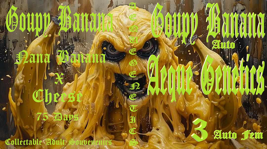 GOUPY BANANA 3pc sticker pack auto