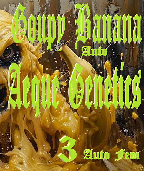 GOUPY BANANA 3pc sticker pack auto