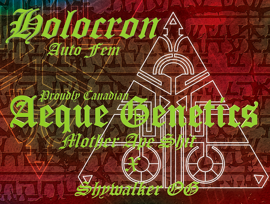 HOLOCRON 3pc sticker pack auto