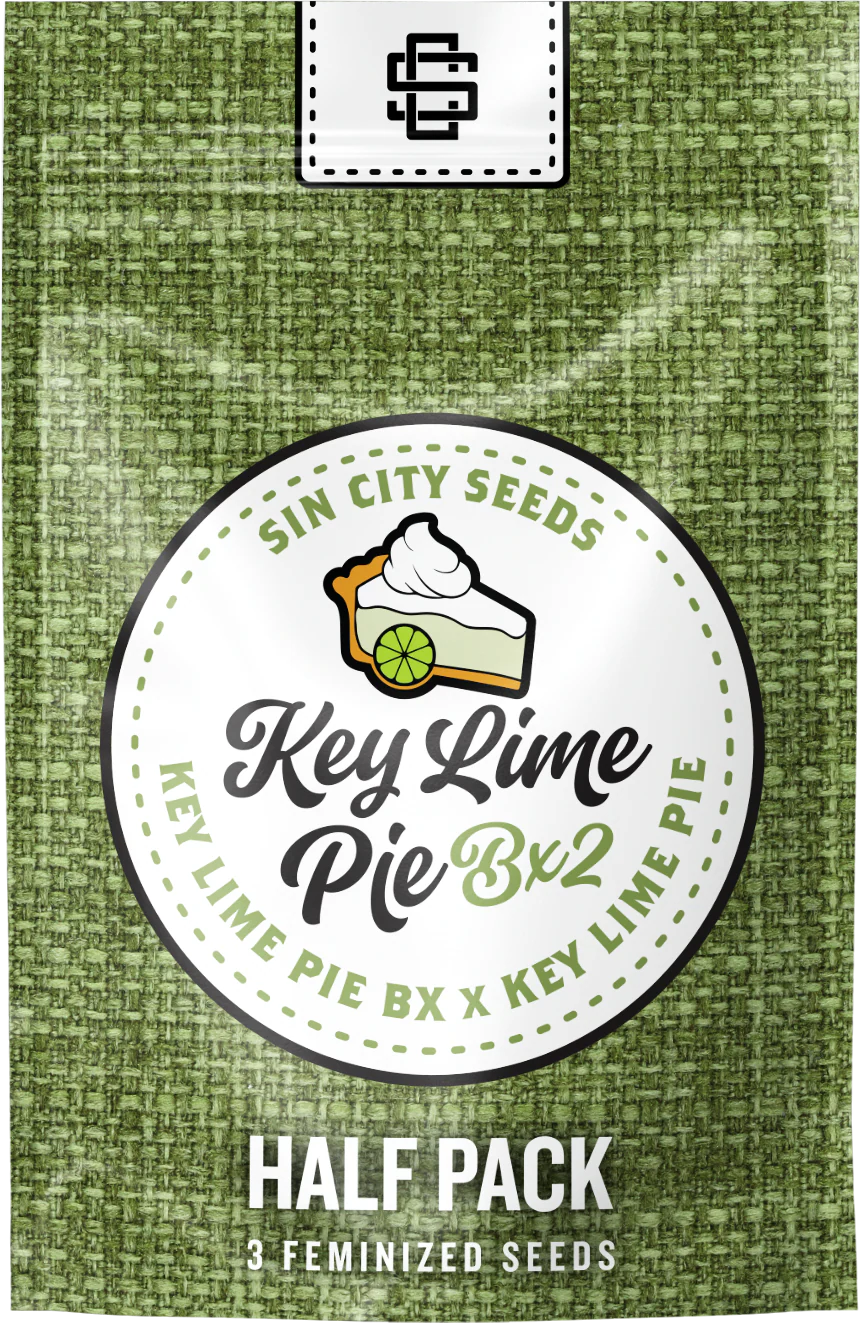 KEY LIME PIE BX2 3pc sticker pack (f)