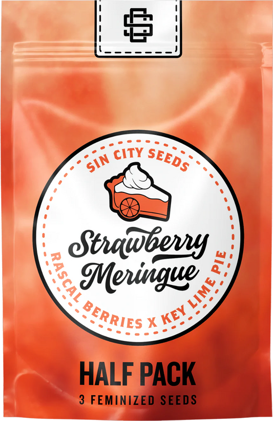 STRAWBERRY MERINGUE 3pc sticker pack (f)