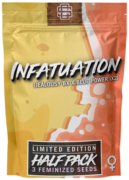 INFATUATION 3pc sticker pack (f)