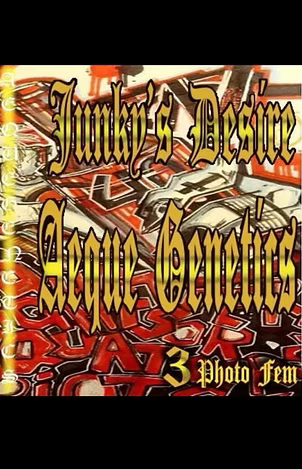 JUNKY'S DESIRE 3pc sticker pack fem