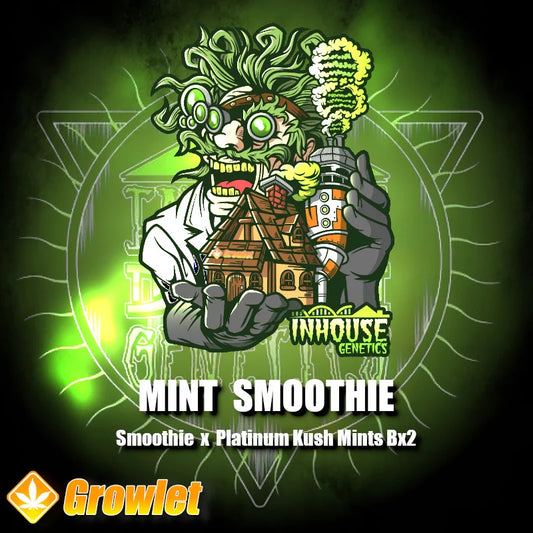 MINT SMOOTHIE 6pc sticker pack reg