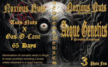 NOXIOUS NUTS 3pc sticker pack fem