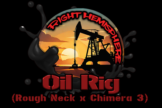 OIL RIG 13pc sticker pack (f)