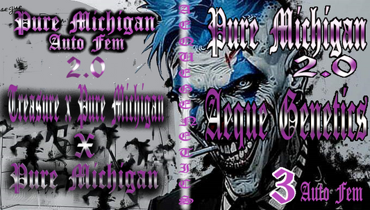 PURE MICHIGAN 2.0 3pc sticker pack auto