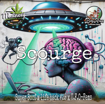 SCOURGE 10pc sticker pack fem