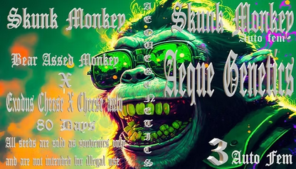 SKUNK MONKEY 3pc sticker pack auto