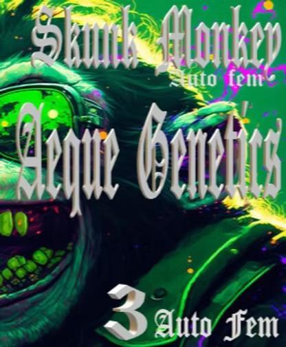 SKUNK MONKEY 3pc sticker pack auto