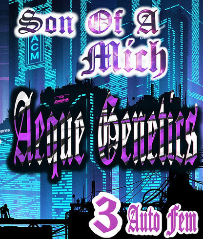 SON OF A MITCH 3pc sticker pack auto