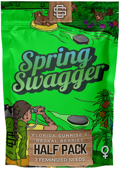 SPRING SWAGGER 3pc sticker pack (f)