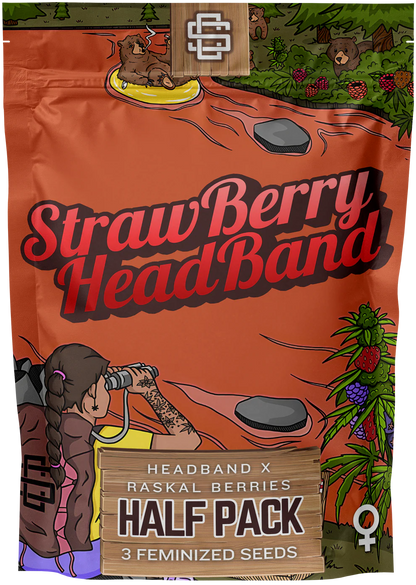 STRAWBERRY HEADBAND 3pc sticker pack (f)