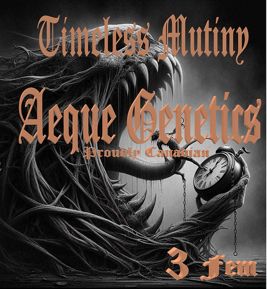 TIMELESS MUTINY 3pc sticker pack fem