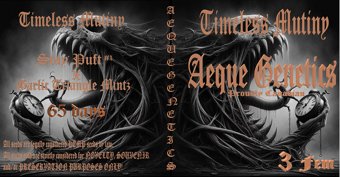 TIMELESS MUTINY 3pc sticker pack fem