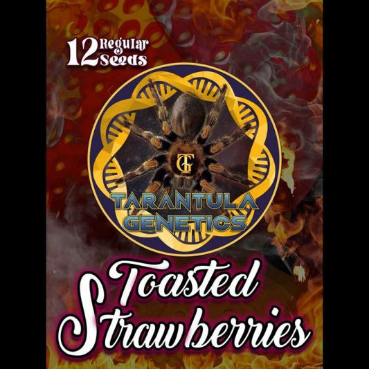 TOASTED STRAWBERRIES 12pc sticker pack reg