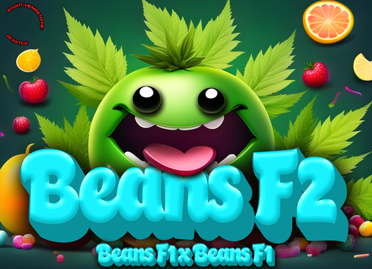 BEANS F2 13pc sticker pack (f)