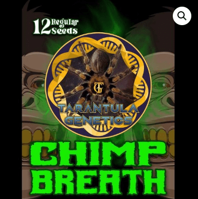 CHIMP BREATH 12pc sticker pack reg