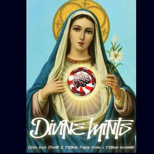 DIVINE MINTS F2 12pc sticker pk reg