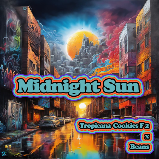MIDNIGHT SUN 13pc sticker pack (f)